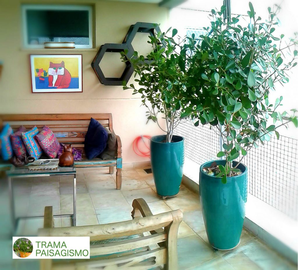 Paisagismo em Apartamento
