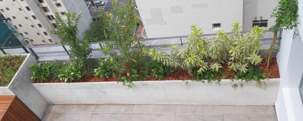 paisagismo em cobertura
é possível ter um mini pomar