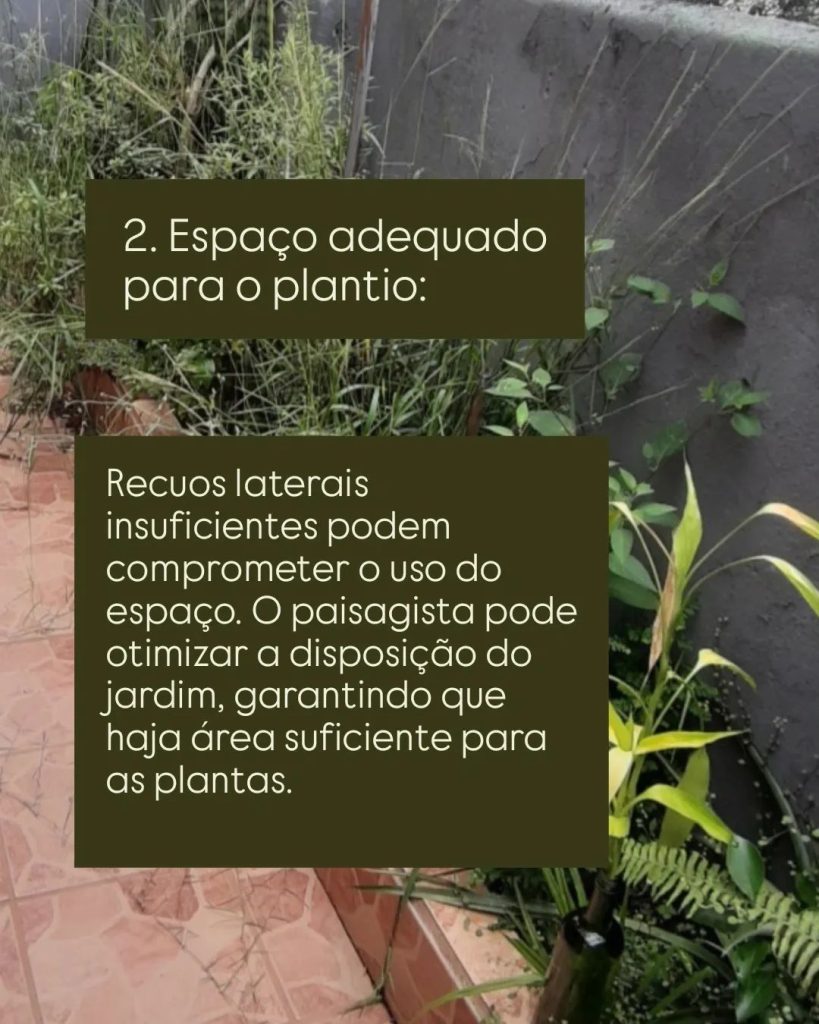 Por que contratar uma paisagista antes do início da obra? espaço adequado para o plantio