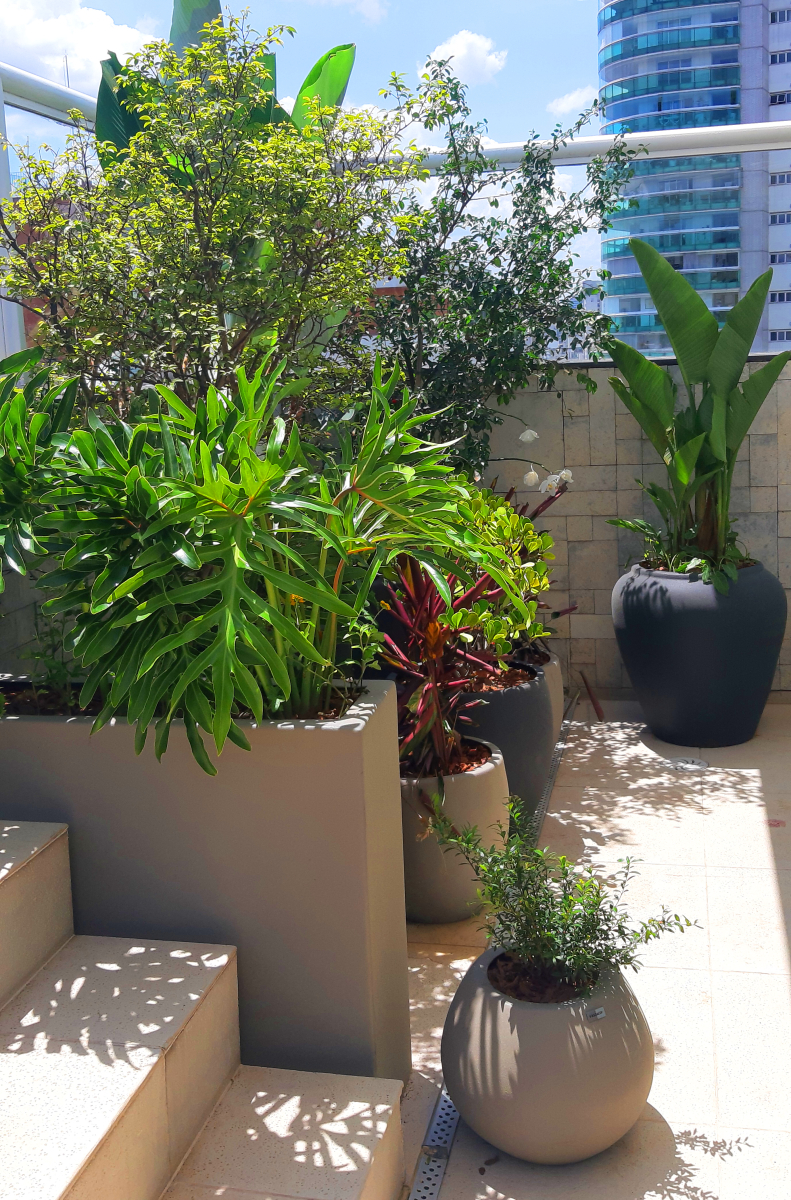 20241127 130214-copy