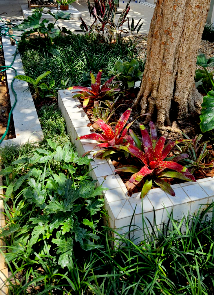 IMG-20241201-WA00031