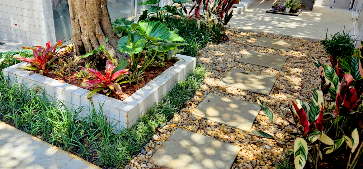 IMG-20241201-WA00041