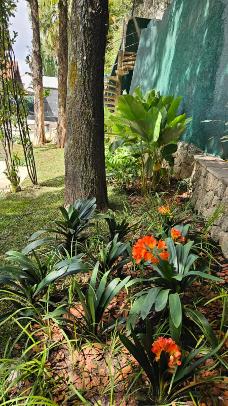 WhatsApp-Image-2025-09-25-at-15.47.21