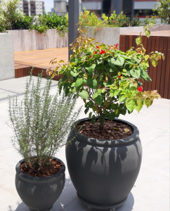 jardim em cobertura