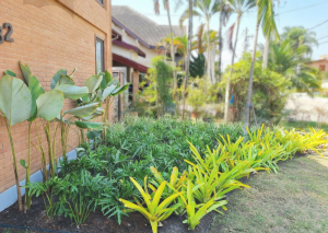 Paisagismo em Fachada