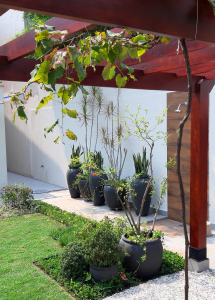 Jardim em Casa São Paulo