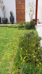 Jardim em Casa São Paulo