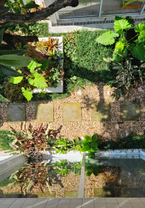paisagismo tropical em casa