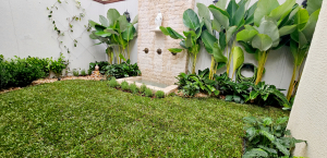paisagismo residencial tropical