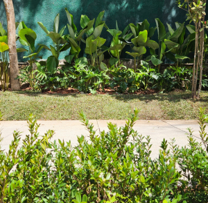 Jardim em Residência
