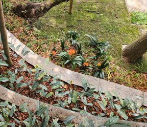 Jardim em Residência