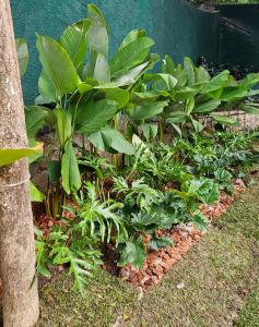 Jardim em Residência