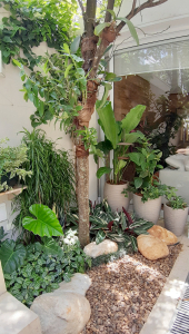 paisagismo em apartamento garden