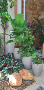 paisagismo em apartamento garden
