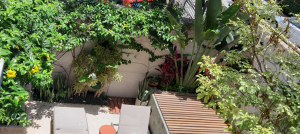 paisagismo em apartamento garden