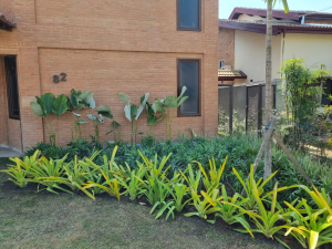 Paisagismo em Fachada
