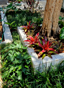 paisagismo tropical em casa