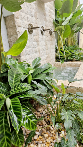 paisagismo residencial tropical