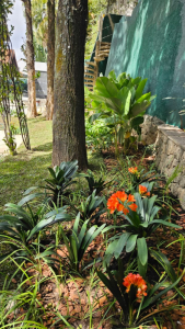Jardim em Residência