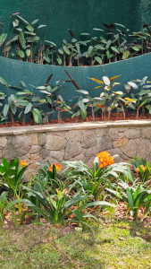 Jardim em Residência