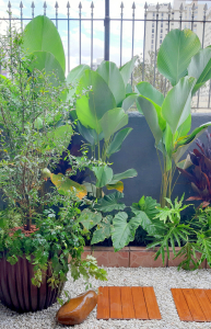 jardim em apartamento garden