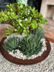 jardim em apartamento garden