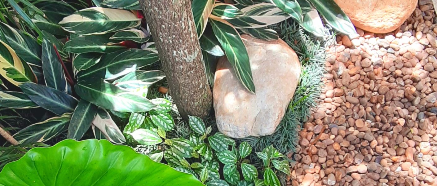 jardim