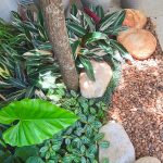 jardim