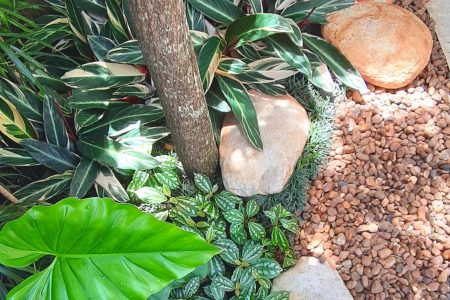 jardim